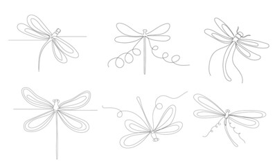 dragonfly, set, sketch drawing by one continuous line, vector, isolated
