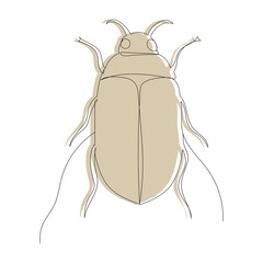 brown beetle, sketch, outline by line, vector, isolated