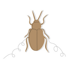 beetle, sketch, contour line, vector