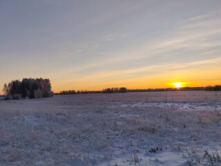Obraz premium Snow covered plants and tree branches. Winter rural natural landscape.