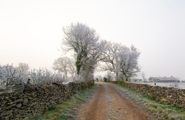 Givre sur le Quercy