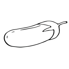 Eggplant vector illustration, hand drawing doodle