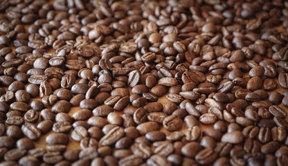 Close up of Roasted Coffee bean with selective focus