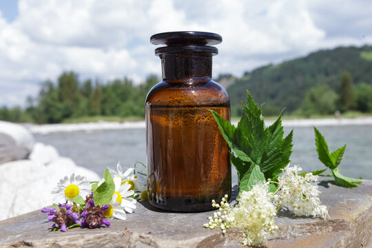 Amber pharmaceutical bottle with elderberry flowers, herbs. Bottle against background of nature.