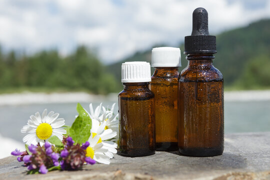 Group amber medical bottles against background of water. Bottles on stone and chamomile flowers. Natural medicine.