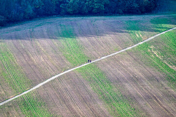Walkers on Ridgeway trail crossing field seen from very high up 