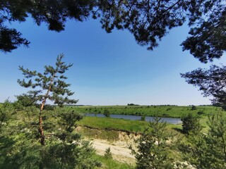 tree, sky, nature, landscape, trees, forest, summer, grass, blue, garden, clouds, park, plant, cloud, field, countryside, water, rural, panorama, day
