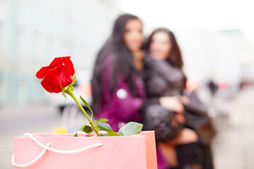 Happy lesbian couple sitting on a bench in the city. Two beautiful women hug each other tenderly on a date. Rose flower in the foreground. Shallow dof
