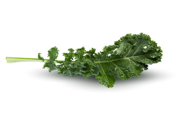 Fresh green leaves of Kale. Green vegetable leaves isolated on white background.
