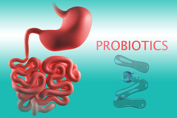 Stomach probiotics. Probiotic bacteria for intestines. Into human gastrointestinal tract....