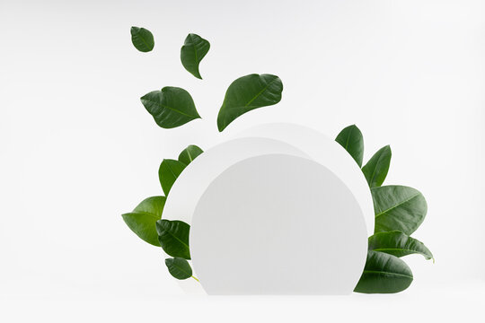 Summer abstract stage mockup for presentation cosmetic product, goods, design, advertising with white circles as podium with flow of flying green leaves, bright fresh tropical eco holiday style.
