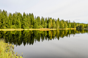 étang de la gruère, la gruère, See, Moorsee, Moor, Weiher, Hochmoor, Wanderweg, Spazierweg, Wald, Waldweg, Wasserpflanzen, Torfmoos, Jura, Naturschutz, Sommer, Herbst, Herbstfarben, Schweiz