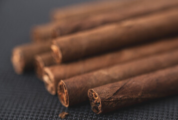 Little aroma cigars, close up. Tobacco smoking concept. Little depth of field, copy space