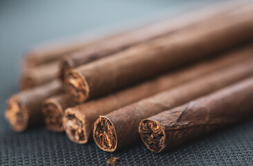 Little aroma cigars, close up. Tobacco smoking concept. Little depth of field, copy space