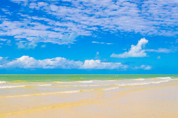 Fototapeta premium Beautiful Holbox island beach sandbank panorama turquoise water waves Mexico.