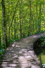 Wooden path with handrails along the Plitvice lakes and mountain forest in National Park. Croatia, Europe