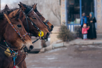Obraz premium horses competing at the festival
