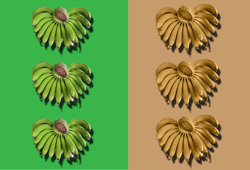 Top veiw, Fresh set three bananas bunch gold  green color isolated on multicolour background for design or stock photo illustration, sweet fruit, healthy food, pattern