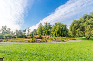 Fototapeta premium Nice view in Millennium park in Chojnice, Poland.