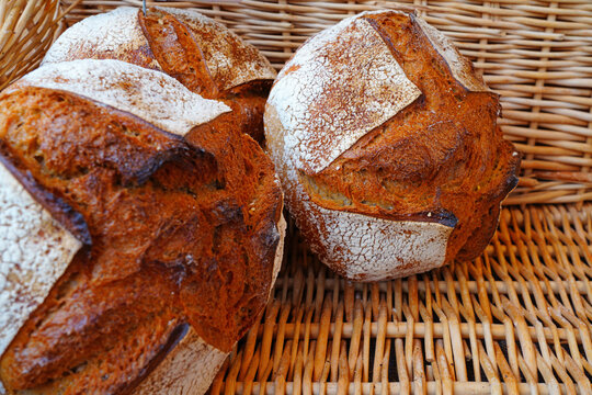 Rustic French sourdough bread boule loaves slashes on top of the crust