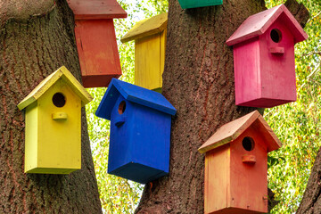  Colorful Bird Houses. Houses for birds. Lodges for a wintering of birds