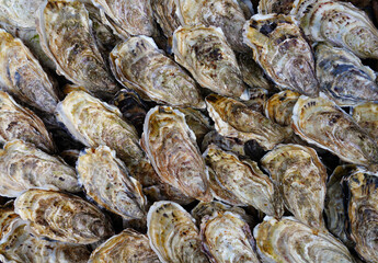 Basket of fresh oysters from Cancale in Brittany, France