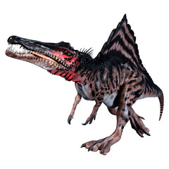 3D Rendering Dinosaur Spinosaurus on White