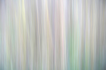 A colorful pattern. The picture is taken blurred by panning the camera. Some weeds.