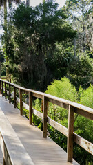 Path through the marsh