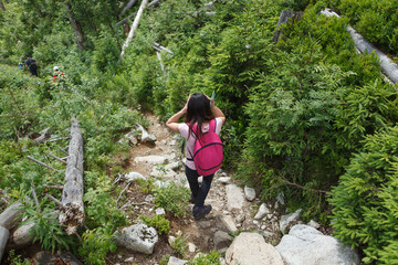 Naklejka na ściany i meble Wanderer young woman with backpack rises to top of mountain against background of mountain landscape, forest and greenery.
