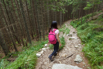 Naklejka na ściany i meble Woman with backpack hiking on mountain path in forest. Shot from behind.