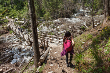 Naklejka na ściany i meble Hiker walking to mountains. Wandering through forest, woman walks trails. Back shot.
