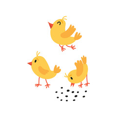 Cute character little chicken