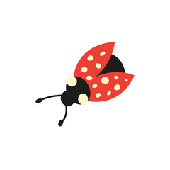 Cute ladybug character hand draw
