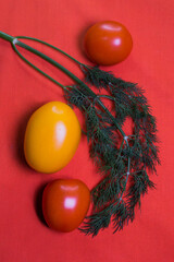 
Red and yellow tomatoes, dill, cucumber, photo on a red background