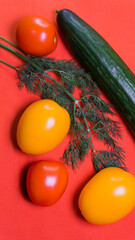 
Red and yellow tomatoes, dill, cucumber, photo on a red background