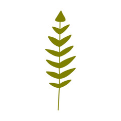 Fototapeta na wymiar Fern green leaf