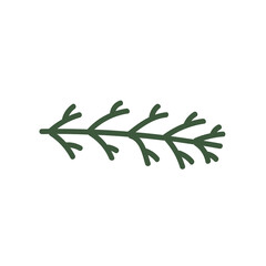 Obraz premium Green Fir branch hand drawn