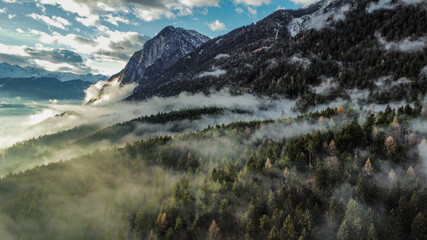 Wald und Berg im Nebel 