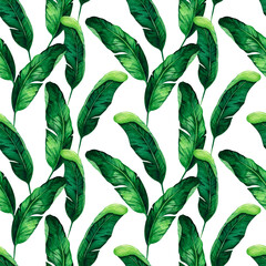 Seamless watercolor floral pattern - green leaves and branches composition on white background, Tropical fresh leaves
