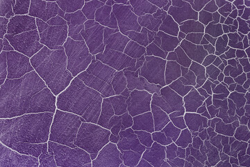Obraz premium Violet old surface.
