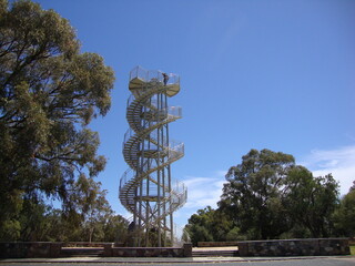 type 1