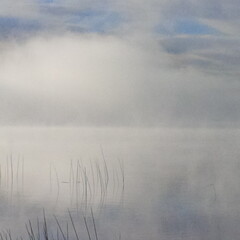 fog over the river