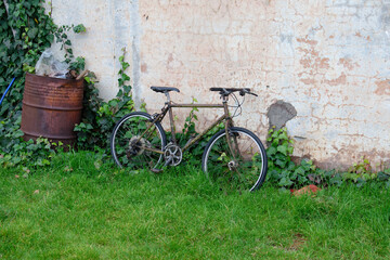Fototapeta na wymiar detail of abandoned bike in a meadow