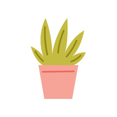 Potted green plant