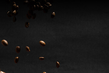 coffee beans on black background
