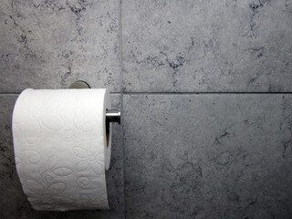   A white roll of soft toilet paper neatly hanging on a modern chrome holder on a light bathroom wall.             