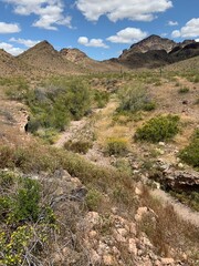 Saddle Mountain Landscape