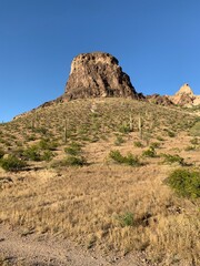 Saddle Mountain Landscape