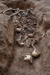 Exhumation of a mass burial of human remains in a trench. law enforcement officers and volunteers...